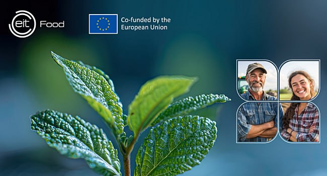 Грант до €370 000 на розвиток цифрової платформи для регенеративного сільського господарства